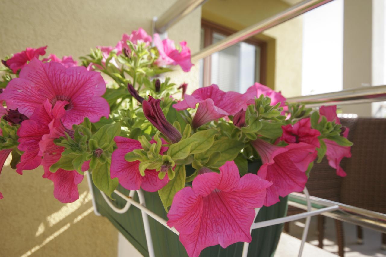 Apartments Salatic Крк Экстерьер фото